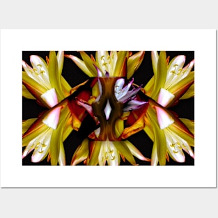 Lily kaleidoscope Posters and Art